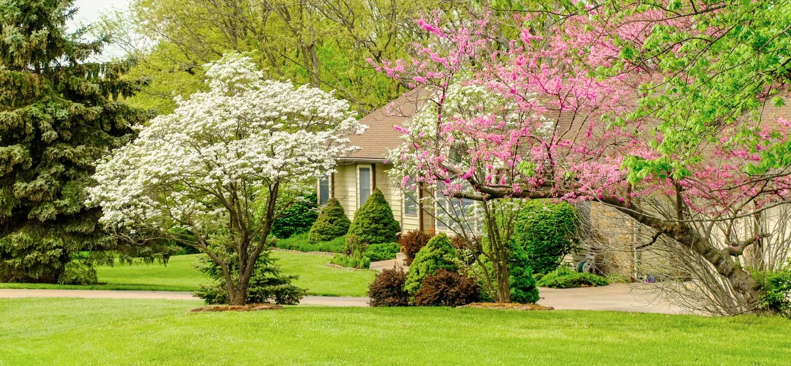 A picture of a house and driveway with nice foliage