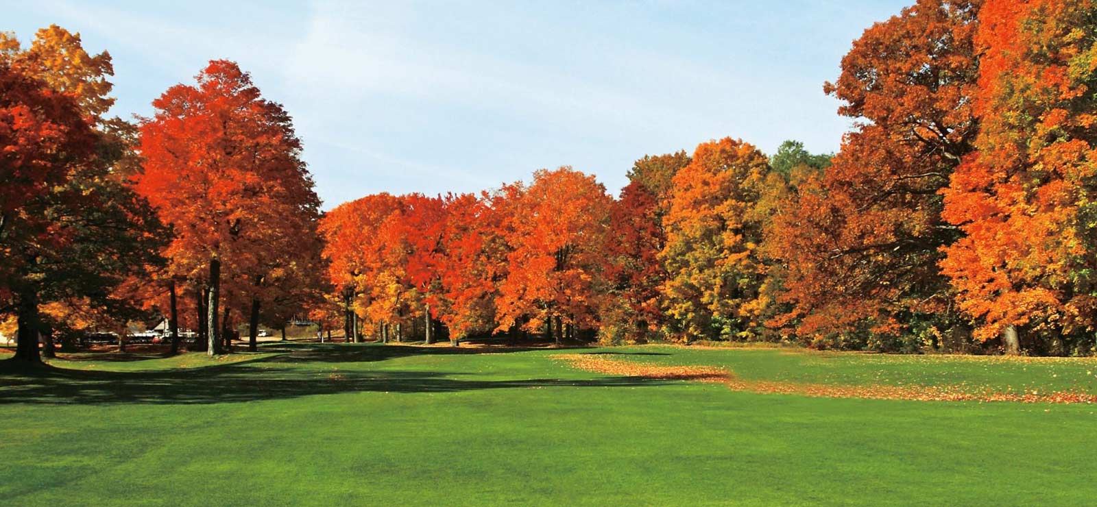 A picture of a large yard during fall with bright red and yellow colors on the trees