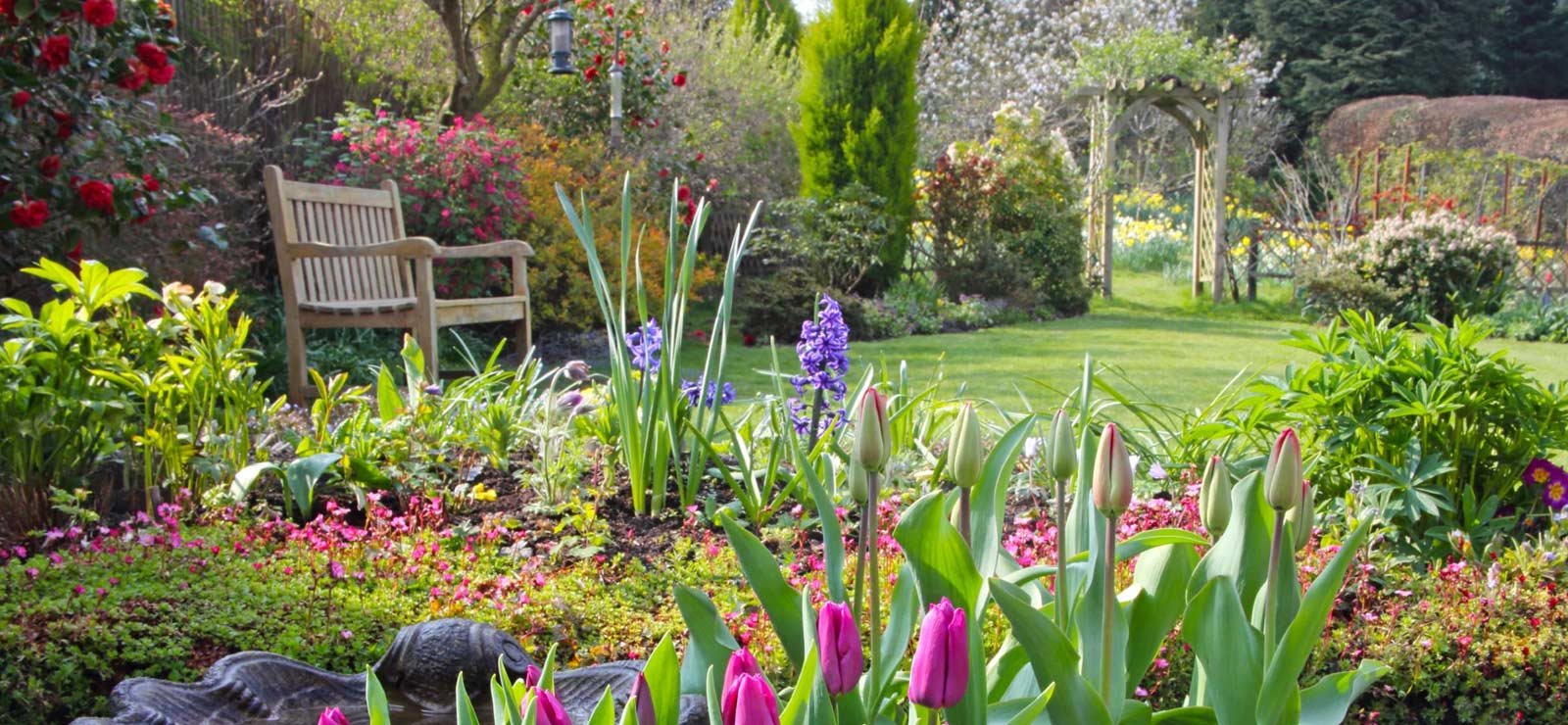 A picture of flowers and plants with a lawn in the background