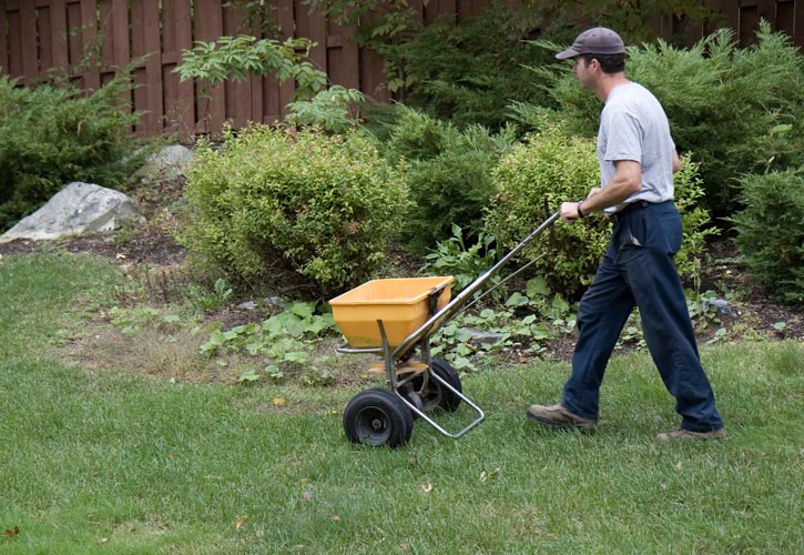 Adult pushing fertilizer spreader in yard