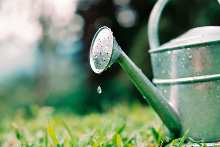 A picture of a watering container resting on a lawn. 