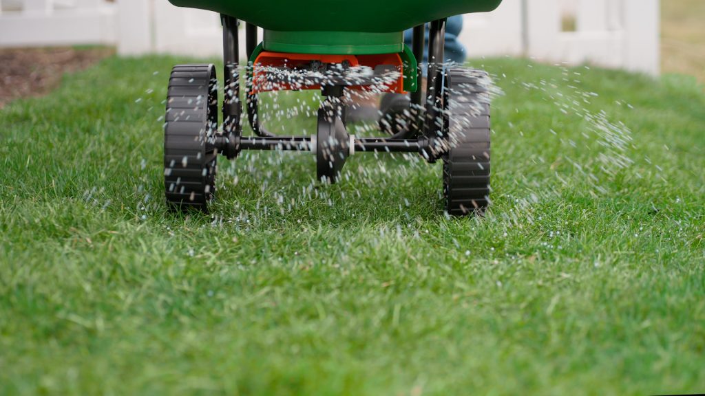A seed spreader rolls over a lush green yard