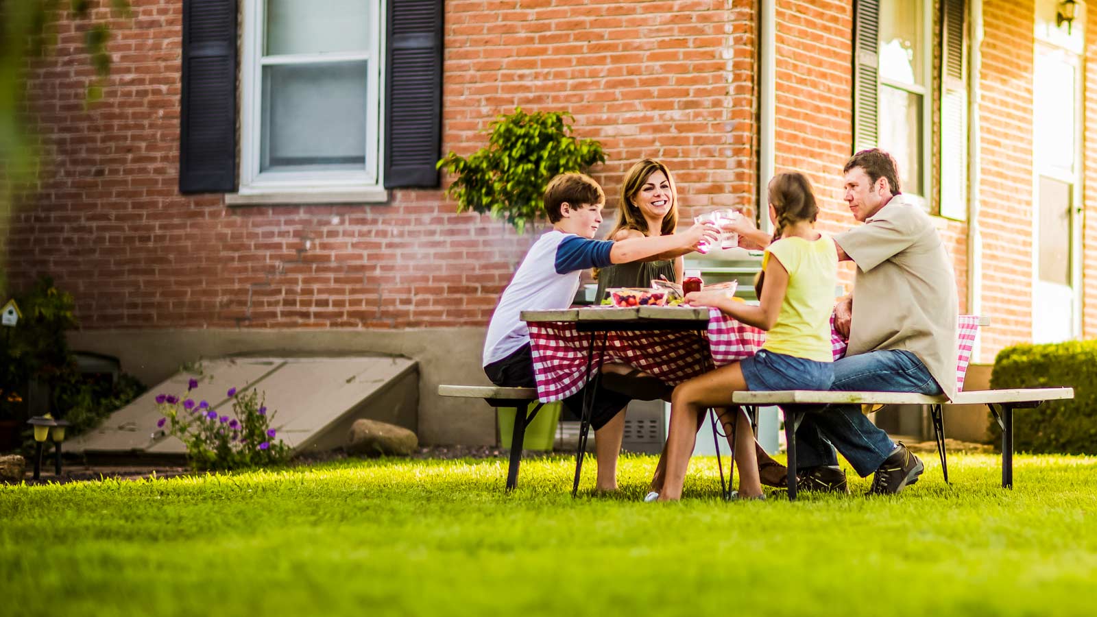 Estate shop lawn care