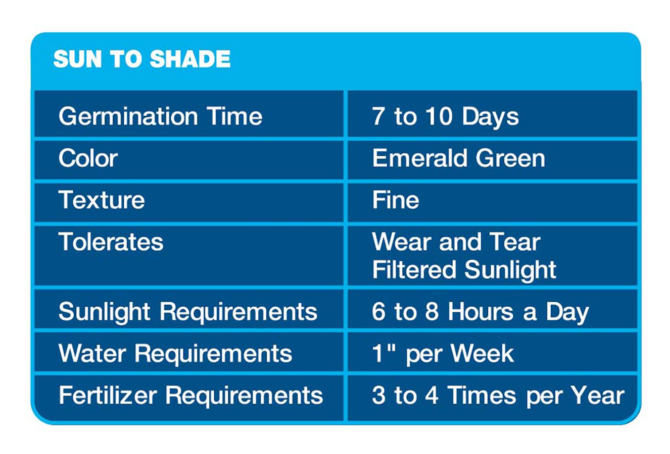 : information about the product including germination time, color, texture, tolerates, sunlight requirements, water requirements, and fertilizer requirements