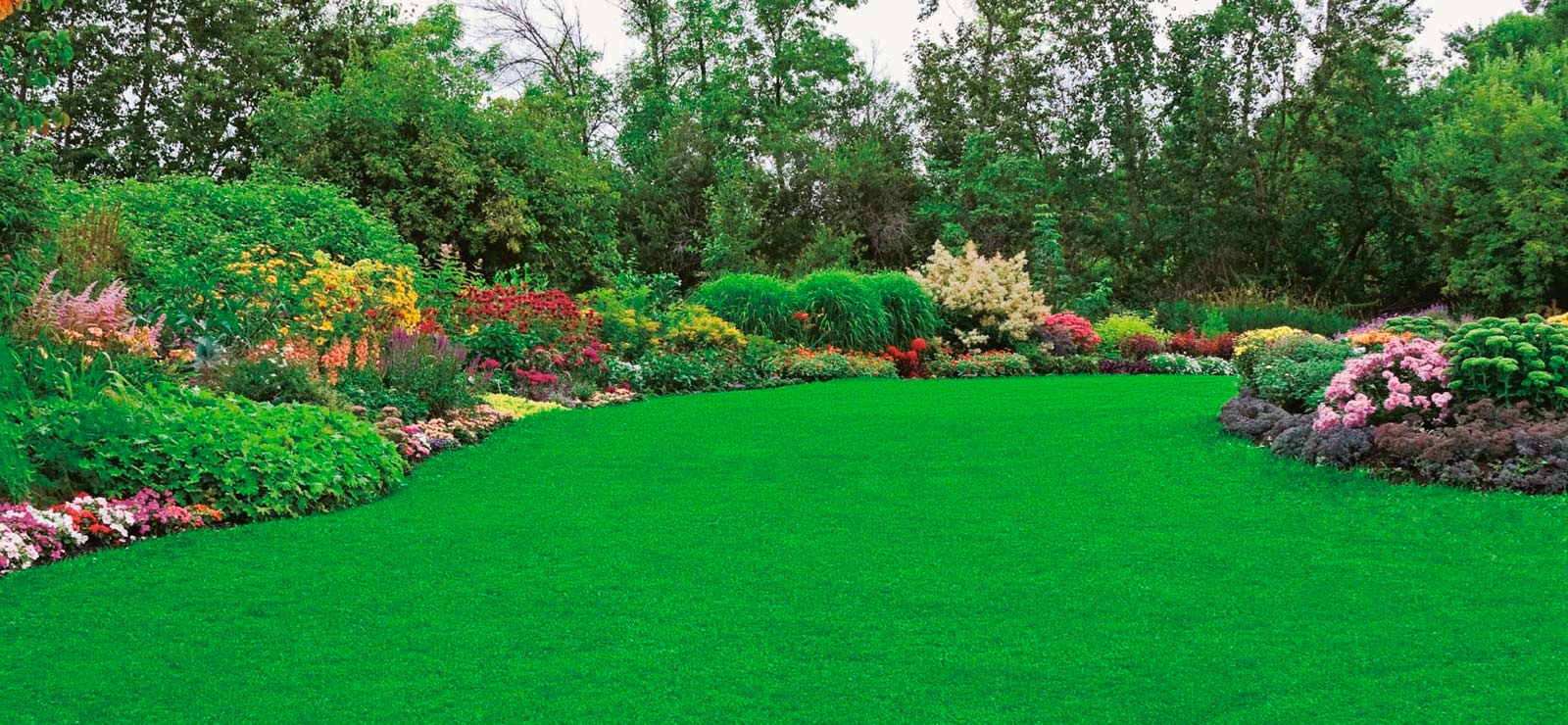 A beautiful lawn with beautiful and vibrant garden