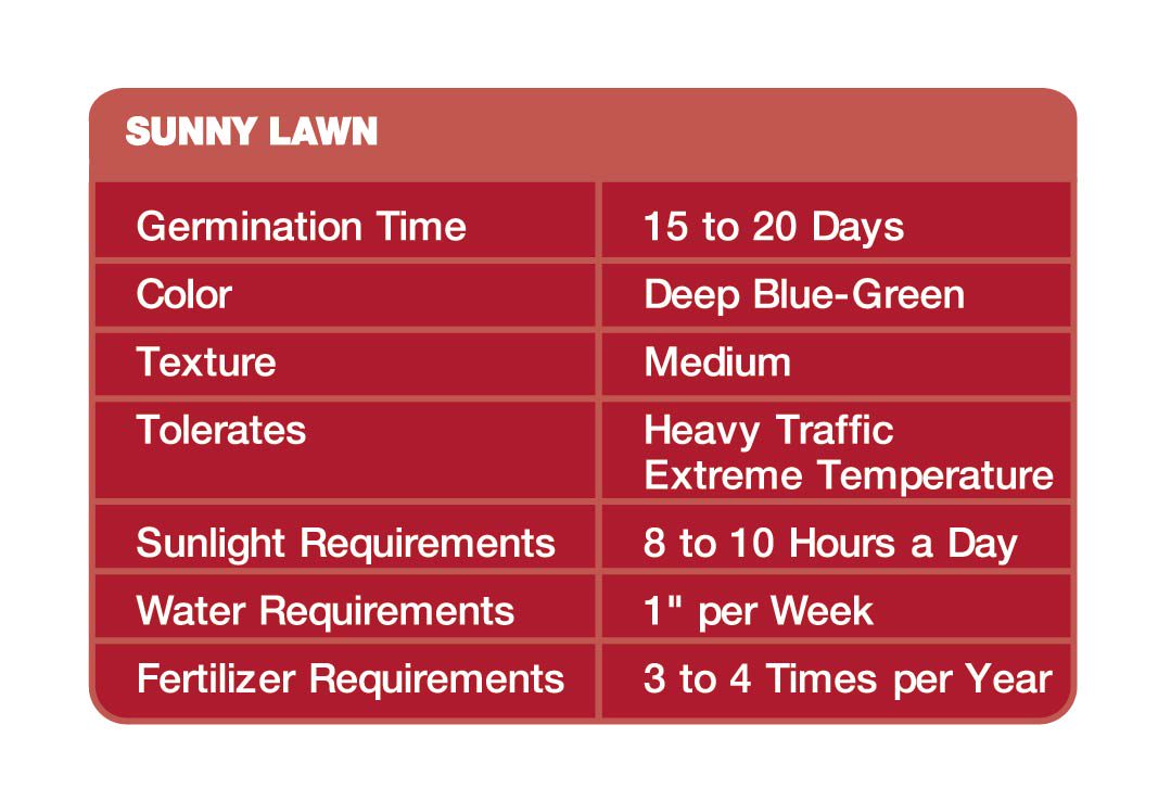 : information about the product including germination time, color, texture, tolerates, sunlight requirements, water requirements, and fertilizer requirements