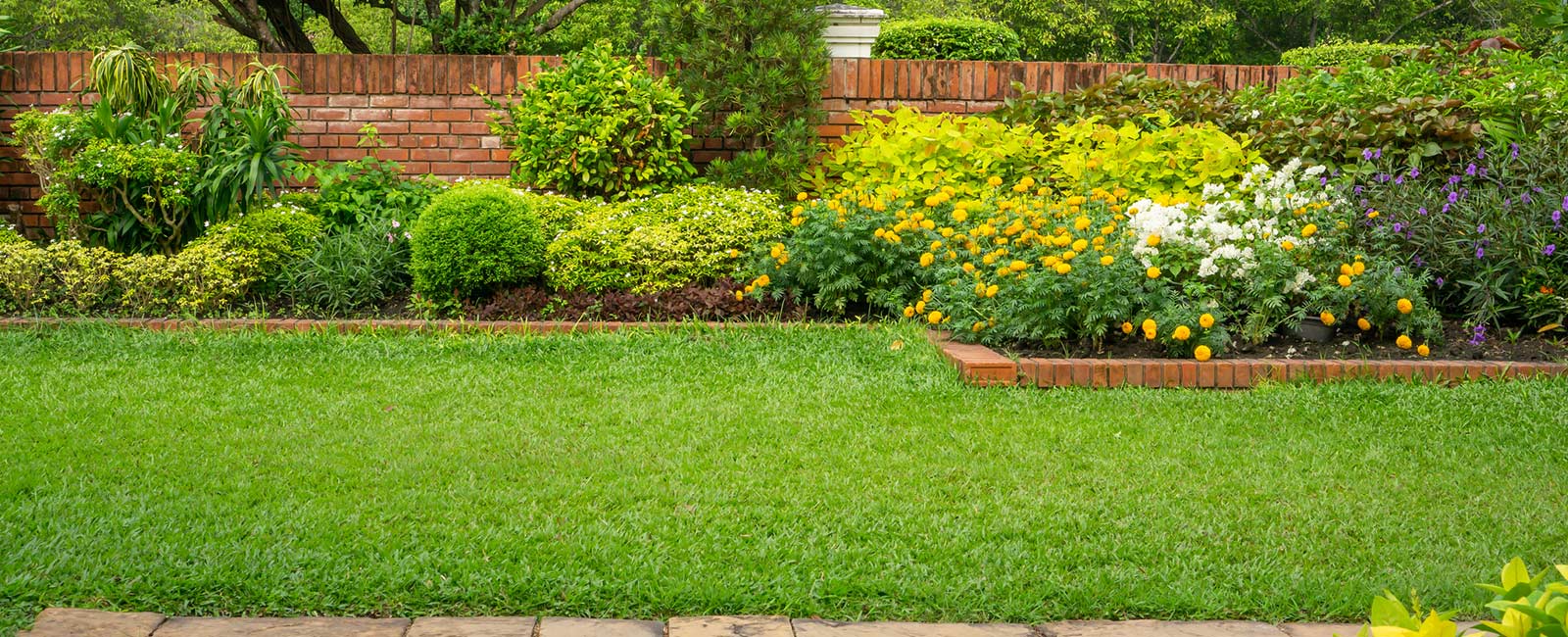 A lush green yard with a fence and garden items