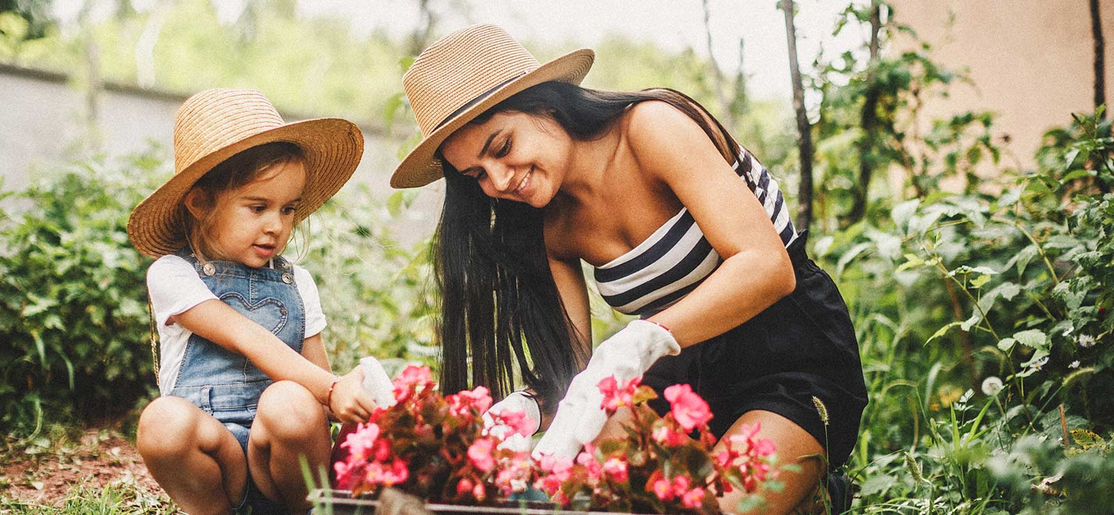 A picture of a young child and adult female working in the garden