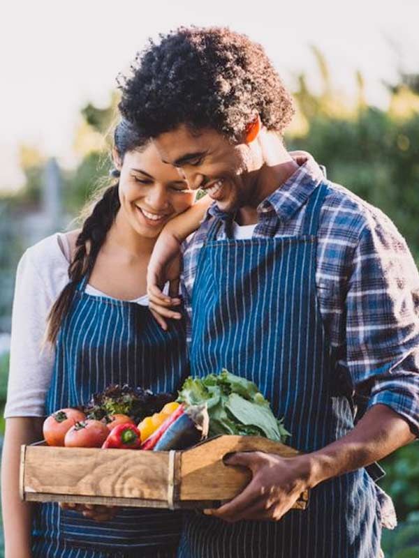 A picture of an adult male and female harvesting vegetables from a garden